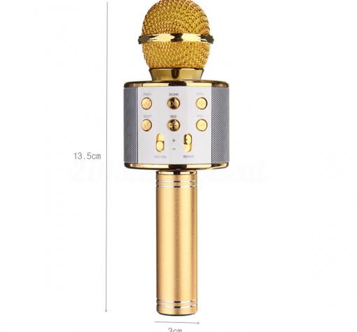 Микрофон / Bluetooth Wireless Microphone Hifi Speaker WS-858 - златист — снимка 2