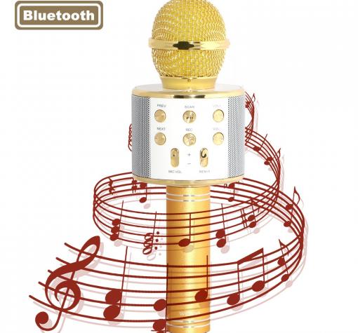 Микрофон / Bluetooth Wireless Microphone Hifi Speaker WS-858 - златист